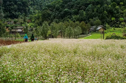 9 trải nghiệm nên thử ở Hà Giang
