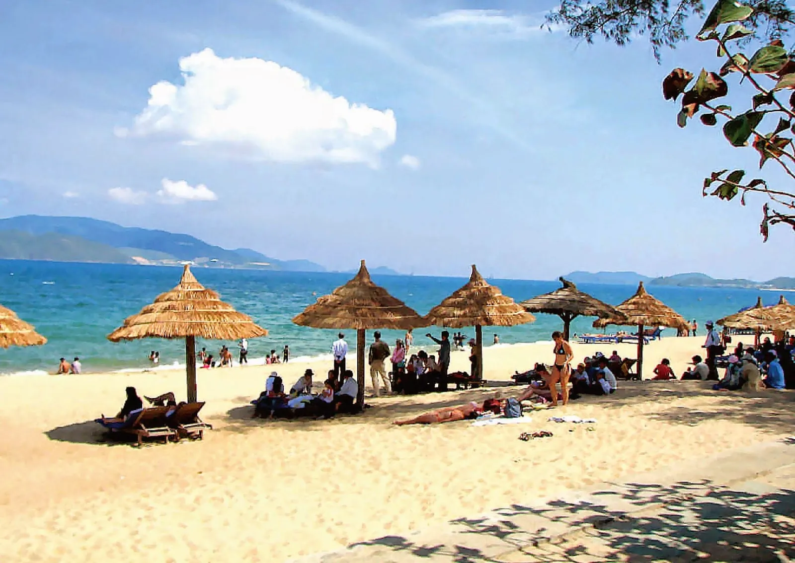 Cẩm nang du lịch biển Ninh Thuận