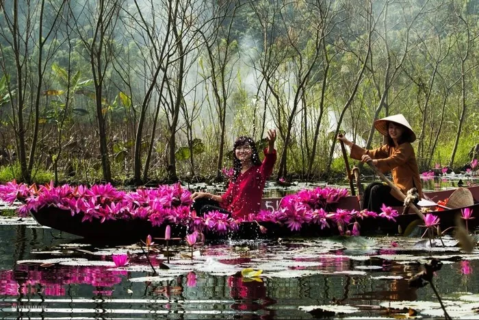 Chạm tay vào hoa súng nở trên dòng suối Yến những ngày thu