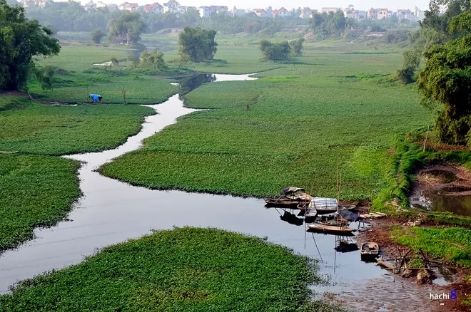 Chiều đông thanh bình bên bờ sông Đáy