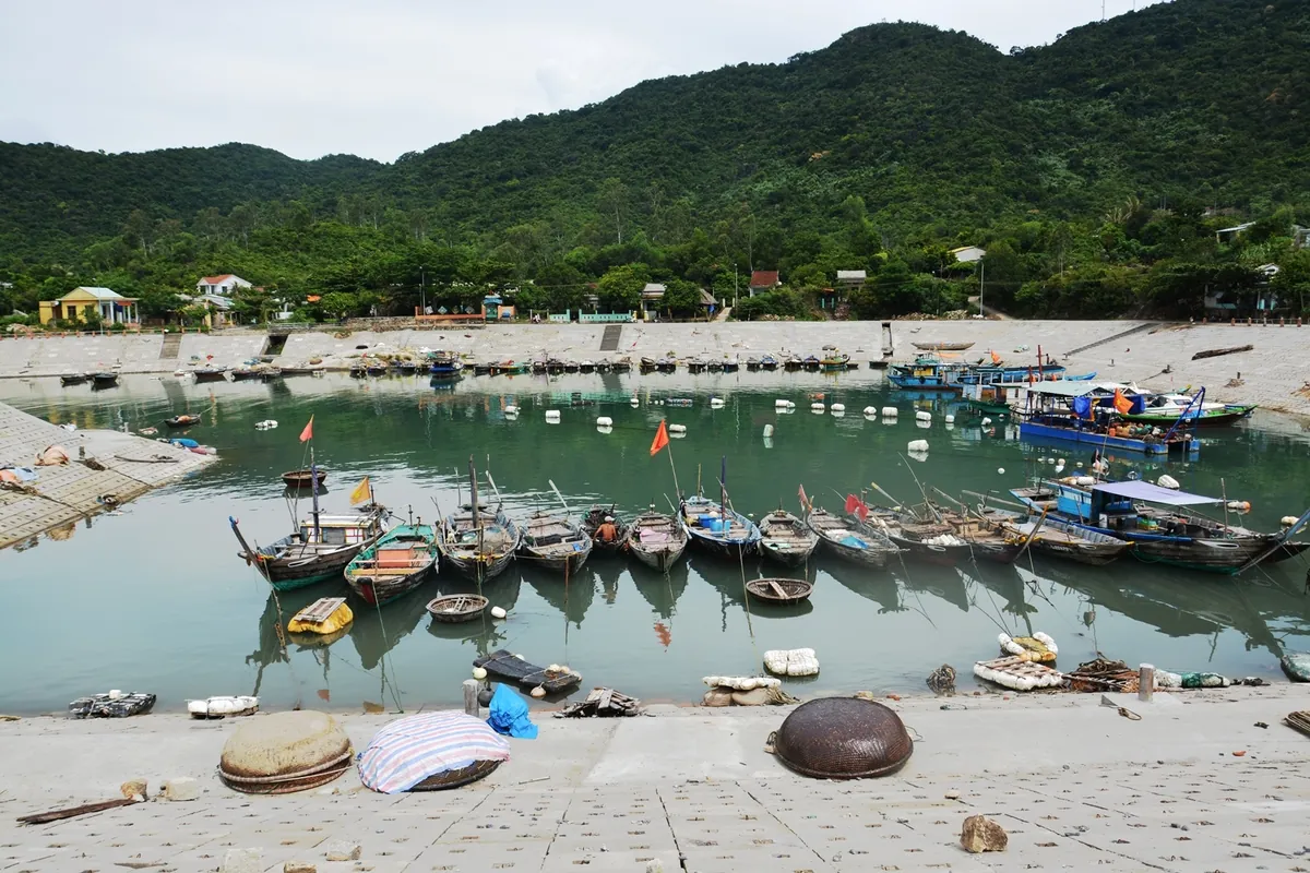 Cù Lao Chàm – đảo xanh thân thiện