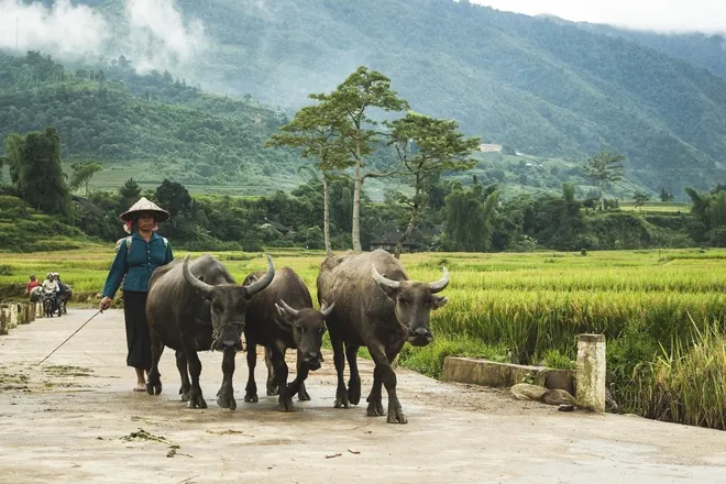 Cuộc sống trên rẻo cao Mù Cang Chải