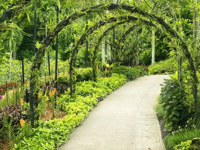 Dân bản xứ tiết lộ trải nghiệm cần có khi du lịch Singapore