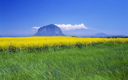 Đảo Jeju -Thiên đường trong Bản tình ca mùa đông