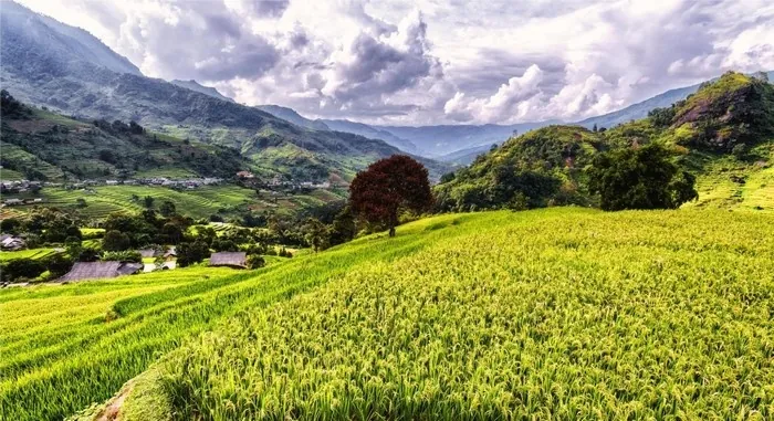 Dạo Việt Nam săn lùng những điểm đến đốn tim khách du lịch