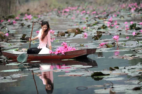 Đẹp lạ lùng suối Yến mùa hoa súng