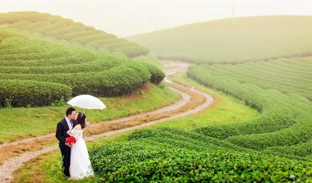Đẹp mơ màng ảnh cưới trên cao nguyên Mộc Châu