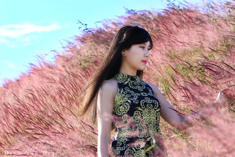 Du lịch Đà Lạt đầu đông ngắm đồi cỏ hồng đầy thơ mộng
