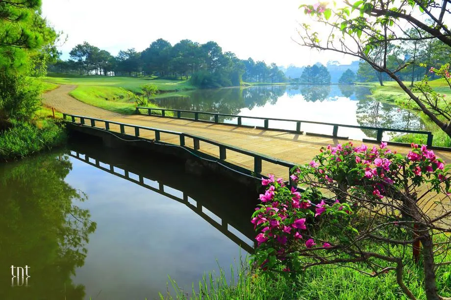 Du lịch Đà Lạt mùa đẹp nhất năm
