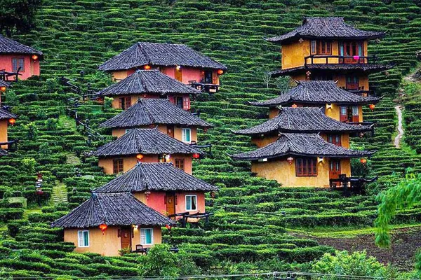Du lịch Thái Lan ngắm ngôi làng trên đồi chè đẹp như bích họa