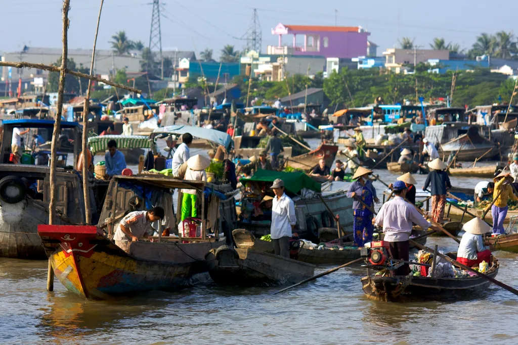 Giải đáp những câu hỏi thường gặp khi du lịch Cần Thơ mùa nước nổi