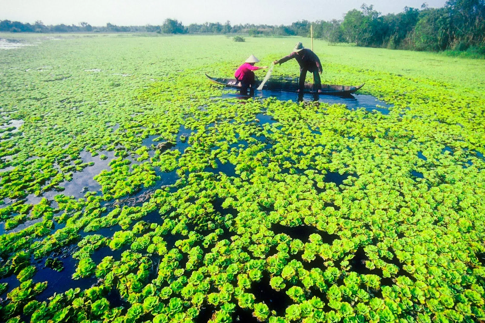 Giải đáp những thắc mắc thường gặp khi du lịch Cà Mau