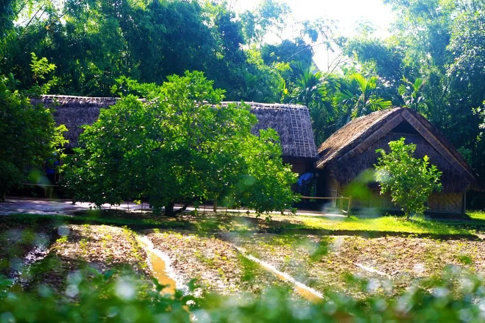 Giản dị ngôi nhà của Bác ở làng Sen
