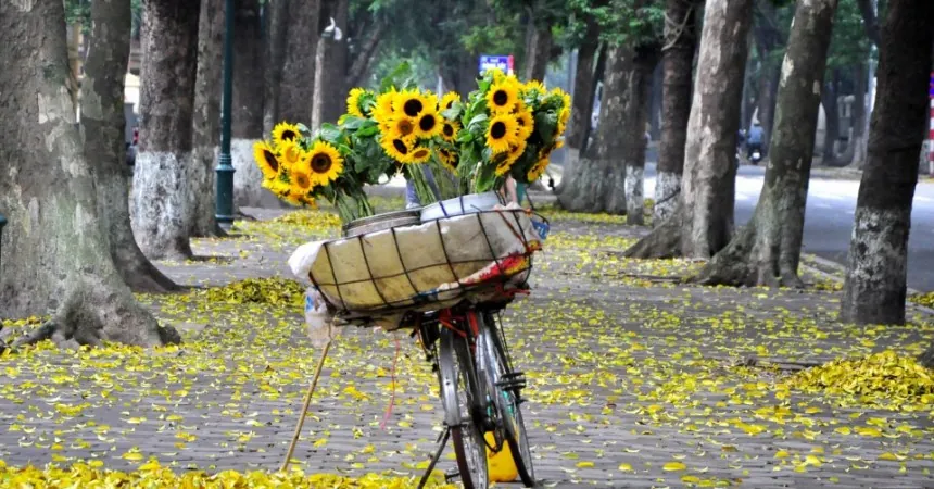 Hà Nội quyến rũ trong hương sắc mùa thu
