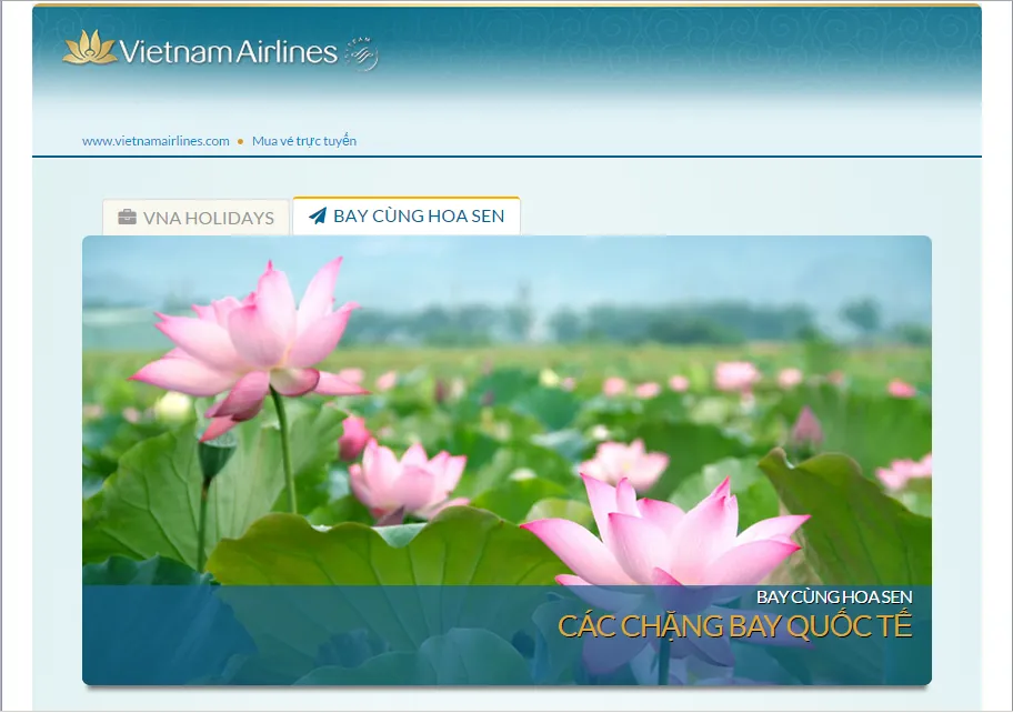 Hướng dẫn cách check-in online Vietnam Airlines