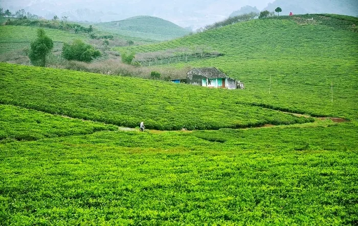 Kinh nghiệm chinh phục đỉnh Pha Luông