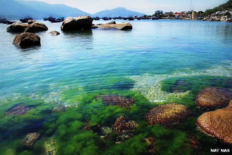Mãn nhãn với biển xanh ngọc bích đảo Bình Hưng