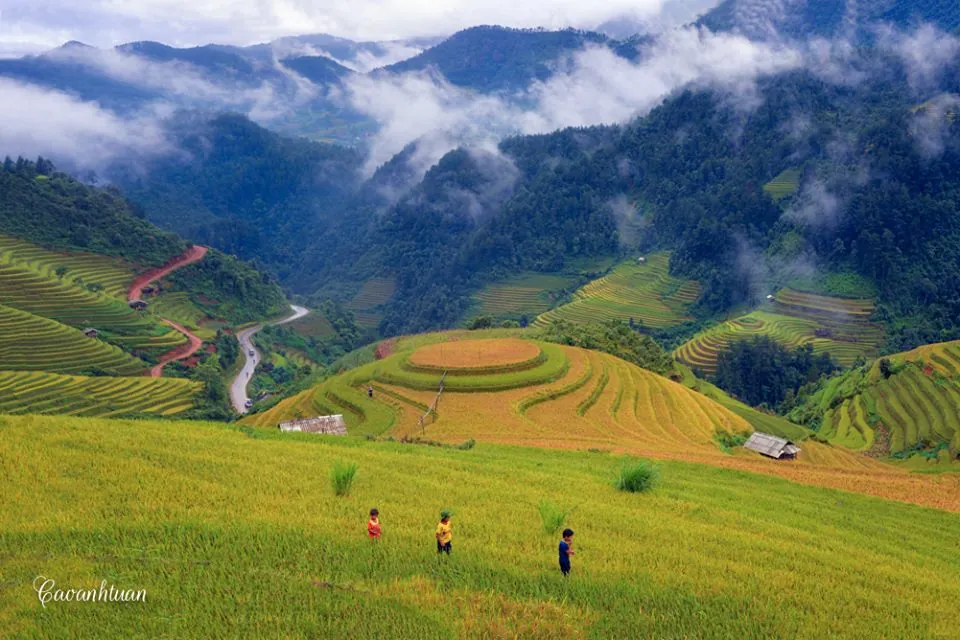 Mù Cang Chải vàng rực mùa lúa chín
