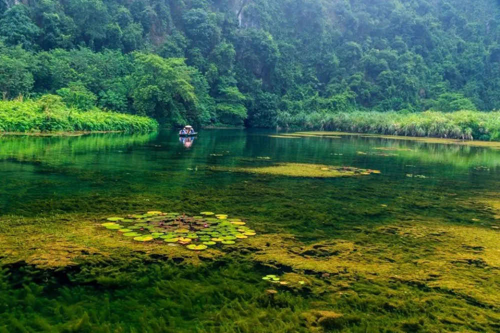 Mùa thu thanh bình ở Tràng An