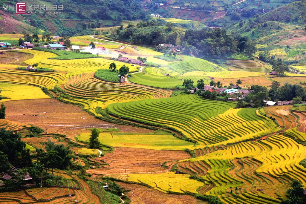 Mùa vàng ở Sàng Ma Sáo Lào Cai