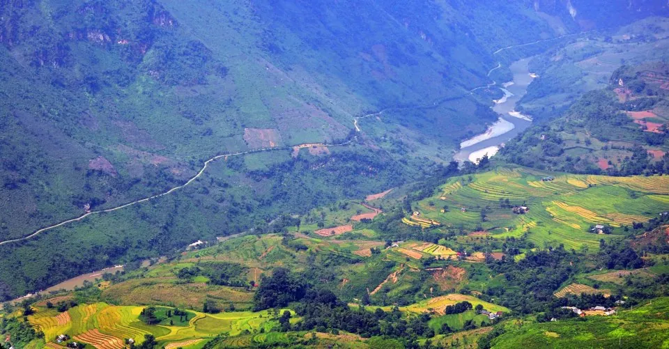 Mùa vàng trên ruộng bậc thang Hoàng Su Phì