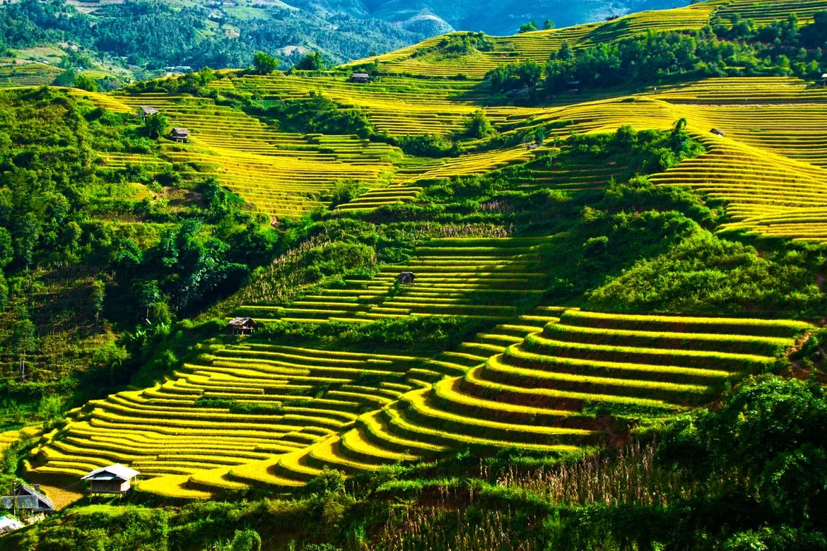 Ngắm vẻ đẹp ngoạn mục của những nấc thang lên thiên đường ở Hà Giang