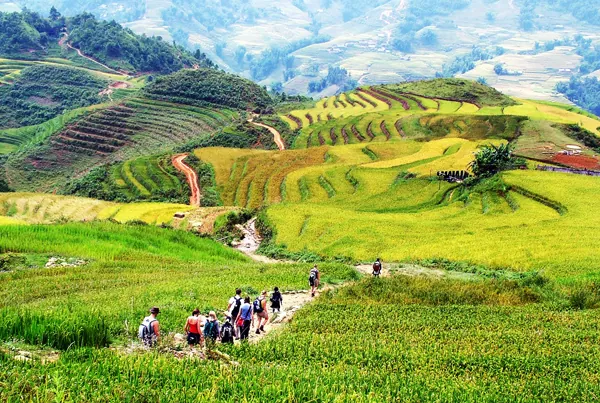 Những điểm đến thiên đường tháng 12 làm bạn cuồng chân