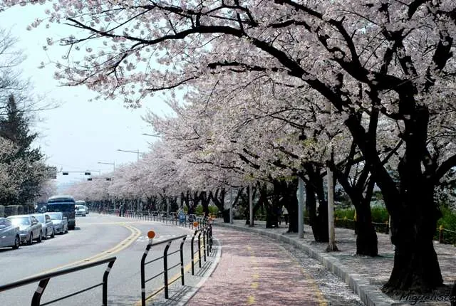 Những điểm đến thú vị ở xứ sở kim chi