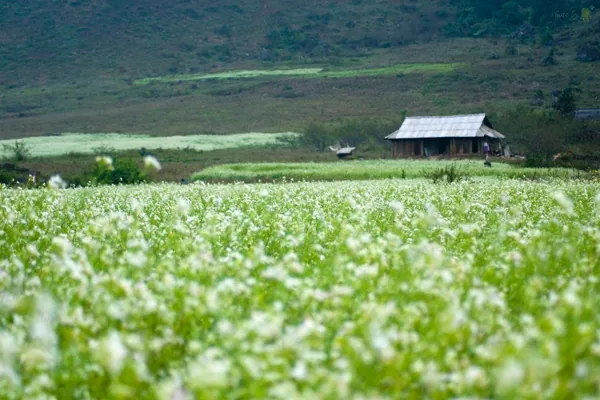 Những điểm du lịch lý tưởng ở miền Bắc cho tháng 12