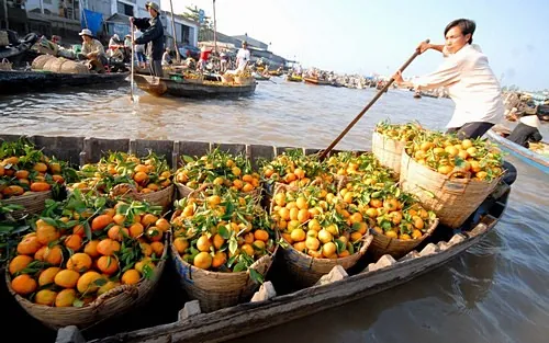 Những kinh nghiệm quý báu cho chuyến du lịch Cần Thơ