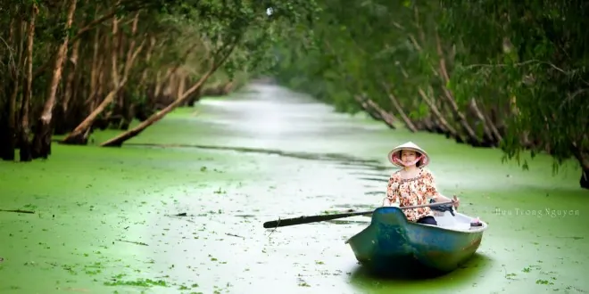 Những lý do phải đi du lịch miền Tây mùa nước nổi!