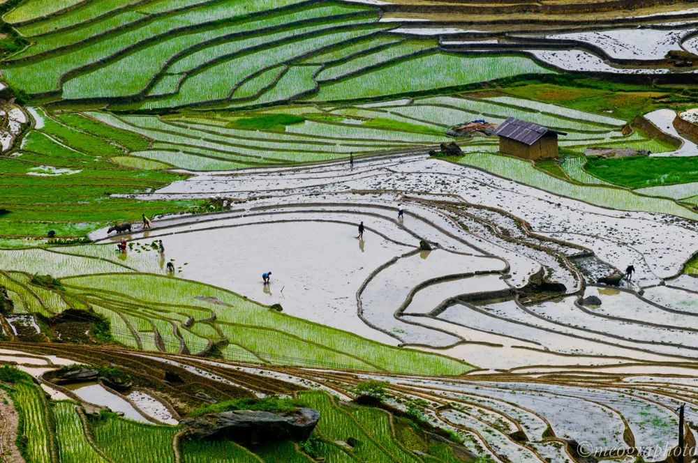 Sắc màu Y Tý mùa nước đổ