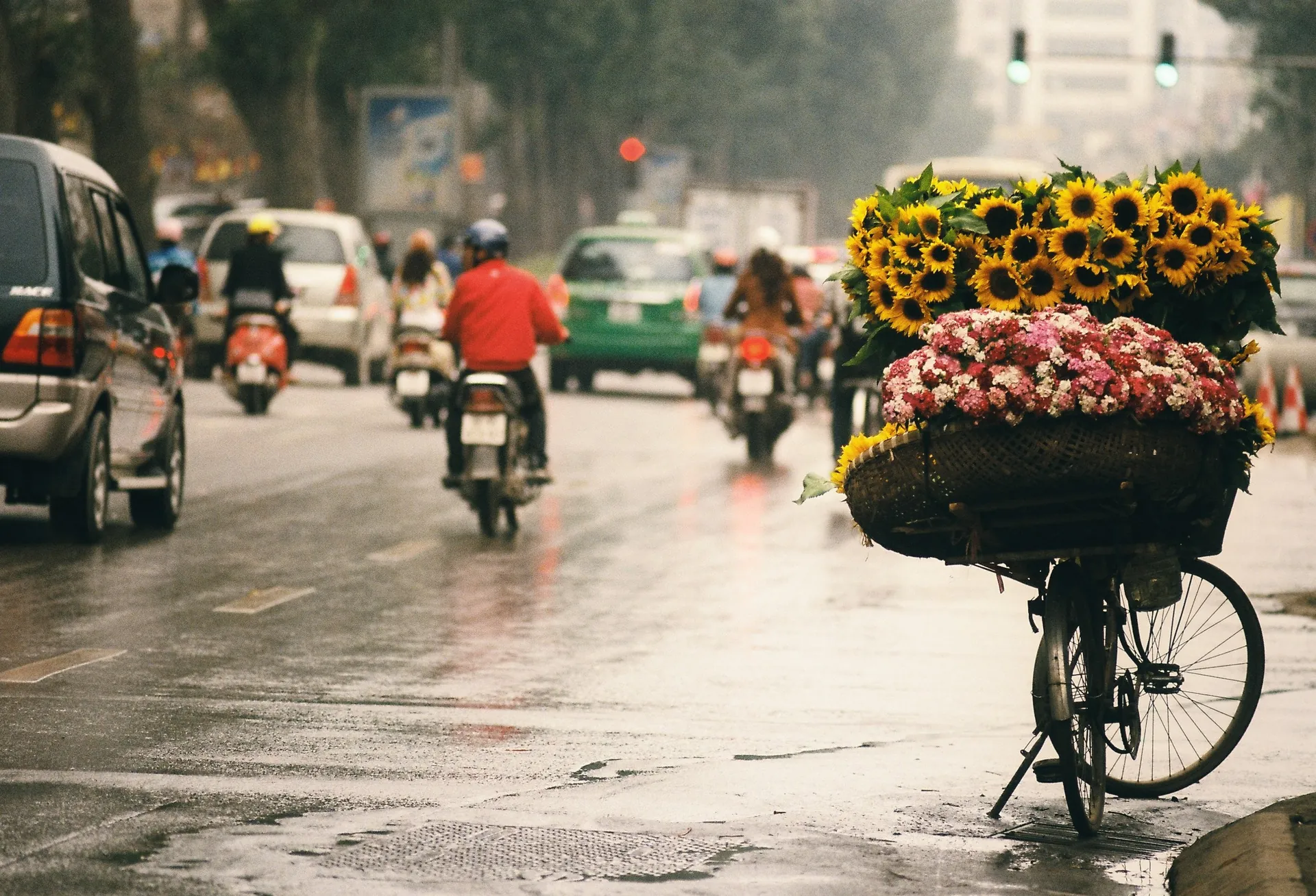 Say lòng phố Thu Hà Nội tháng 11