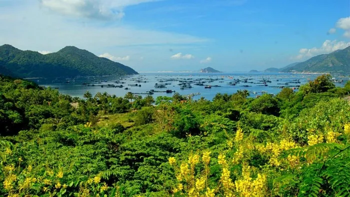 Thả hồn giữa vùng đất hoa vàng cỏ xanh đẹp mê mẩn