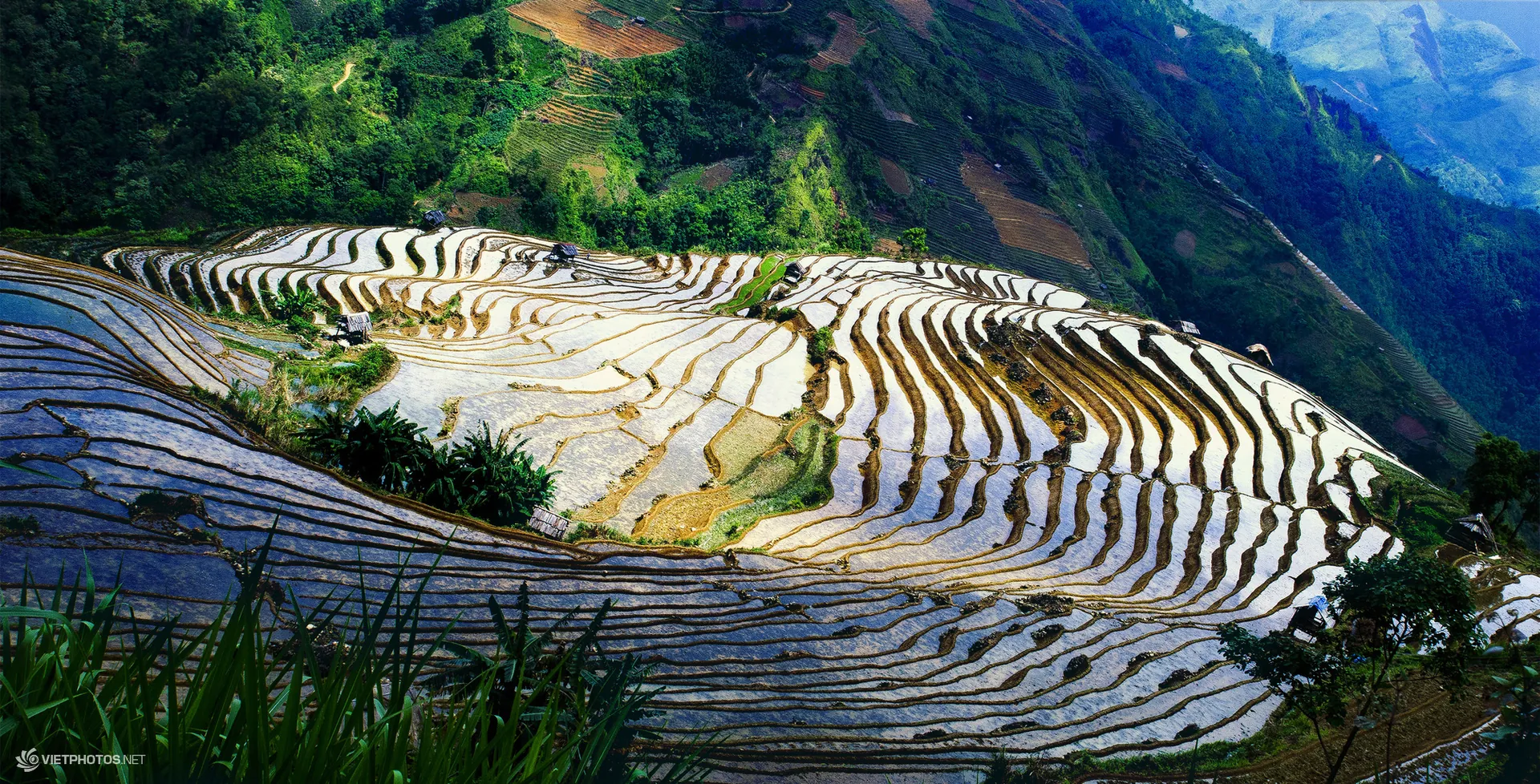 Thiên nhiên tươi đẹp trên các nẻo đường Tây Bắc