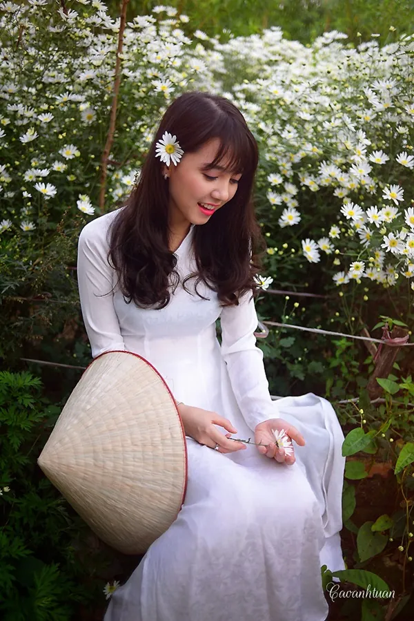 Thiếu nữ Hà Thành đẹp tinh khôi bên cúc họa mi
