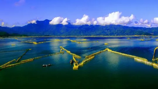 Ngắm cảnh đẹp mê hồn trên Phá Tam Giang cảnh đẹp trên phá tam giang