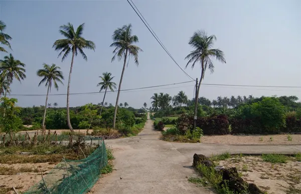 Khám phá vẻ đẹp đảo bé Lý Sơn cảnh đẹp đảo bé lý sơn