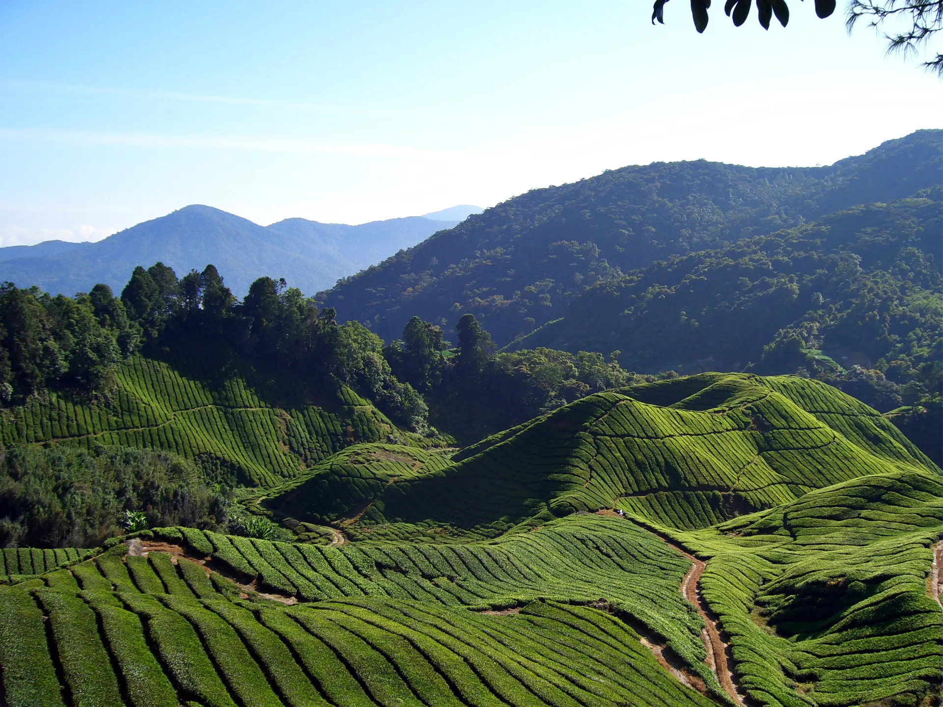Du lịch bụi Malaysia tiết kiệm du lịch malaysia