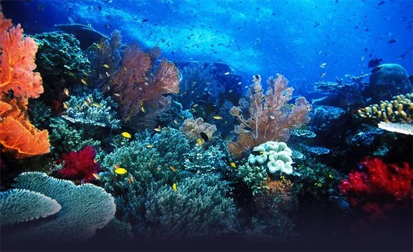 du lịch raja ampat