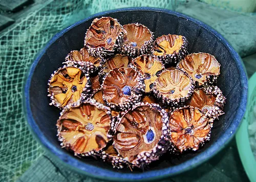 lý do nên đi du lịch đảo bình ba