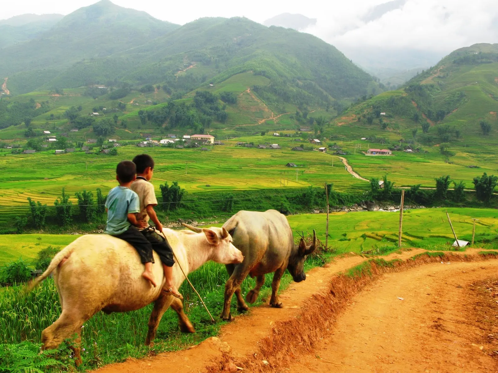 những bản làng ở sapa