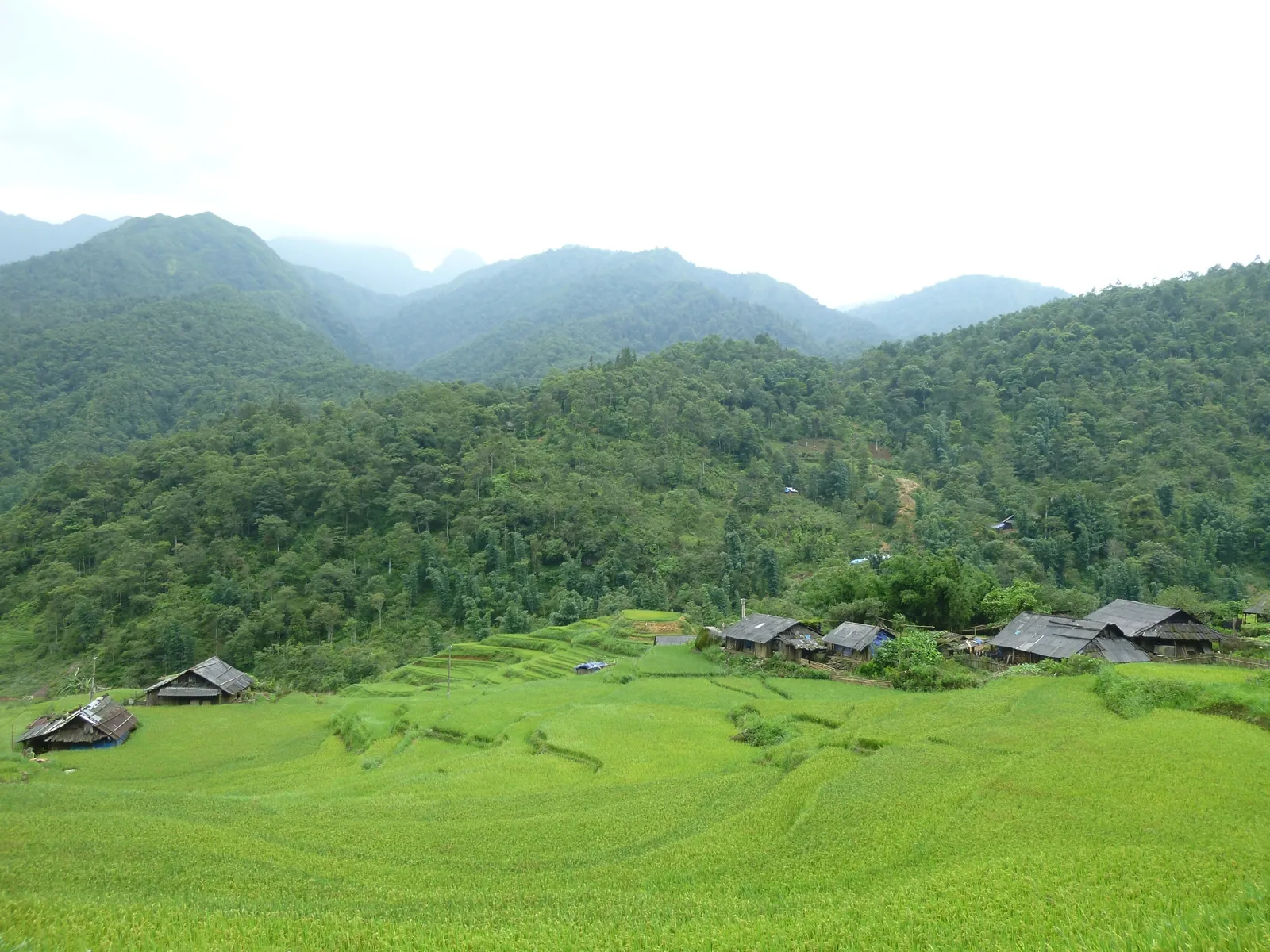 những bản làng ở sapa