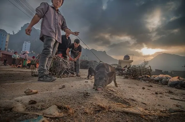 Vùng cao Việt Nam đẹp lạ qua ống kính nhiếp ảnh gia Pháp vẻ đẹp vùng cao việt nam