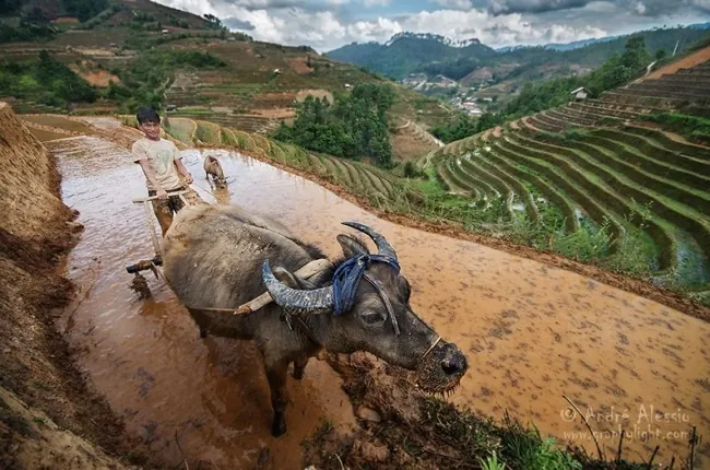 Vùng cao Việt Nam đẹp lạ qua ống kính nhiếp ảnh gia Pháp vẻ đẹp vùng cao việt nam