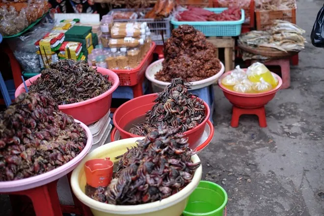 Du lịch An Giang thăm vương quốc mắm ở chợ Châu Đốc ẩm thực chợ châu đốc an giang