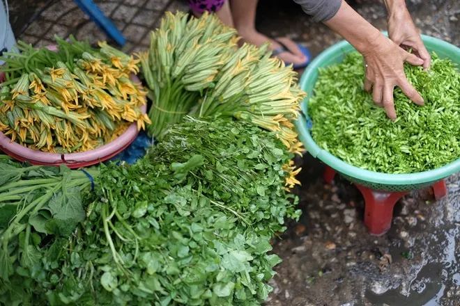 Du lịch An Giang thăm vương quốc mắm ở chợ Châu Đốc ẩm thực chợ châu đốc an giang