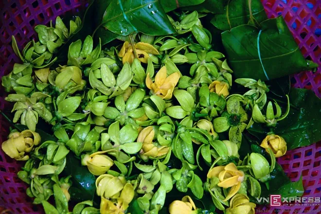 Hà Nội quyến rũ trong hương sắc mùa thu cảnh đẹp mùa thu hà nội