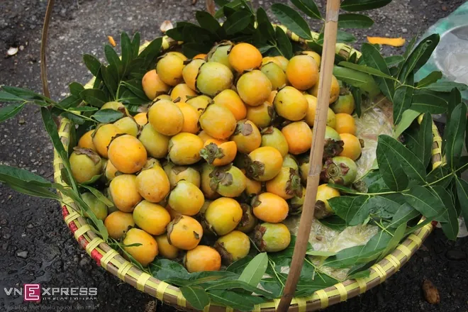 Hà Nội quyến rũ trong hương sắc mùa thu cảnh đẹp mùa thu hà nội