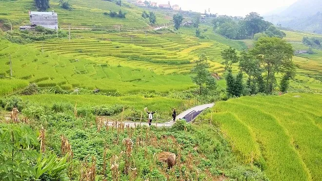 Du lịch Sapa tháng 9 ngắm vẻ đẹp bồng lai tiên cảnh du lịch sapa tháng 9